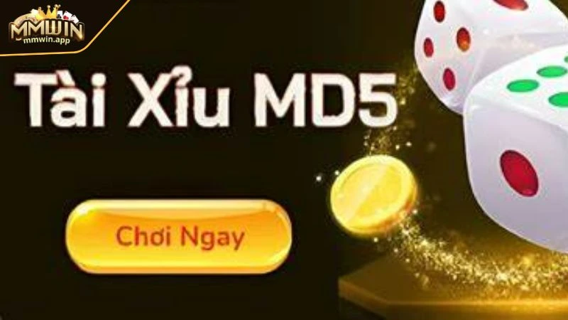 Giới thiệu trò chơi tài xỉu MD5 MMWIN